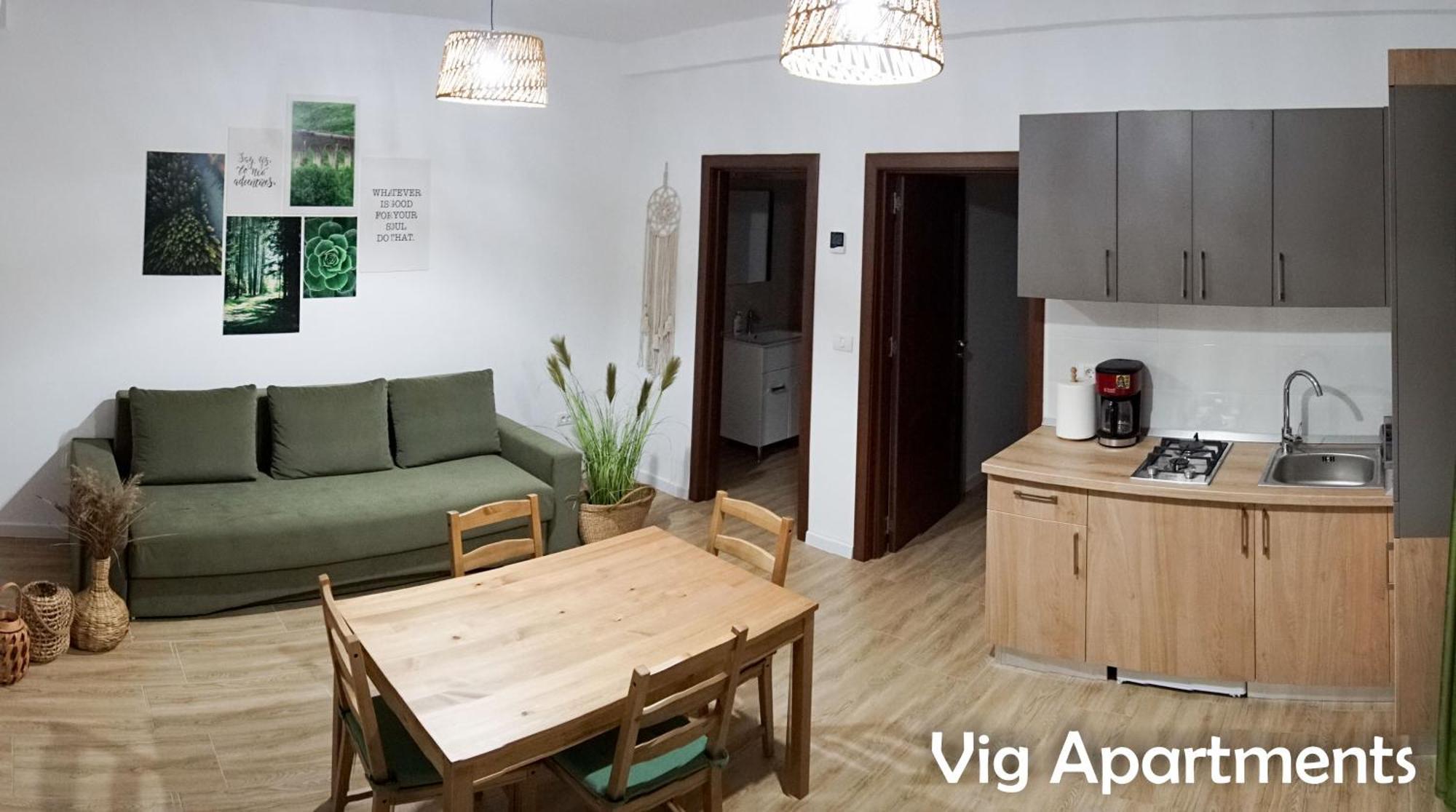 Vig Apartments 티미쇼아라 외부 사진