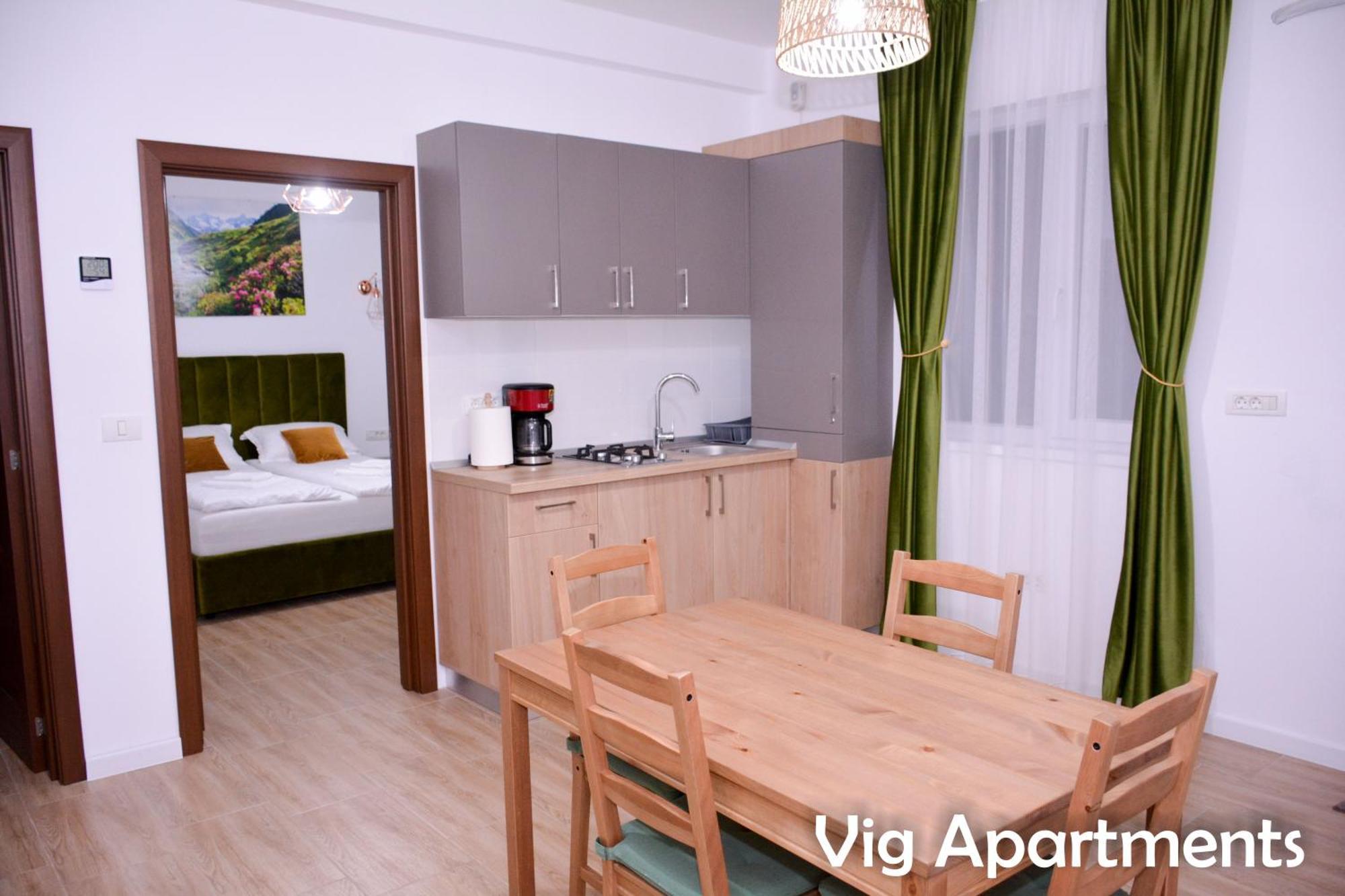 Vig Apartments 티미쇼아라 외부 사진