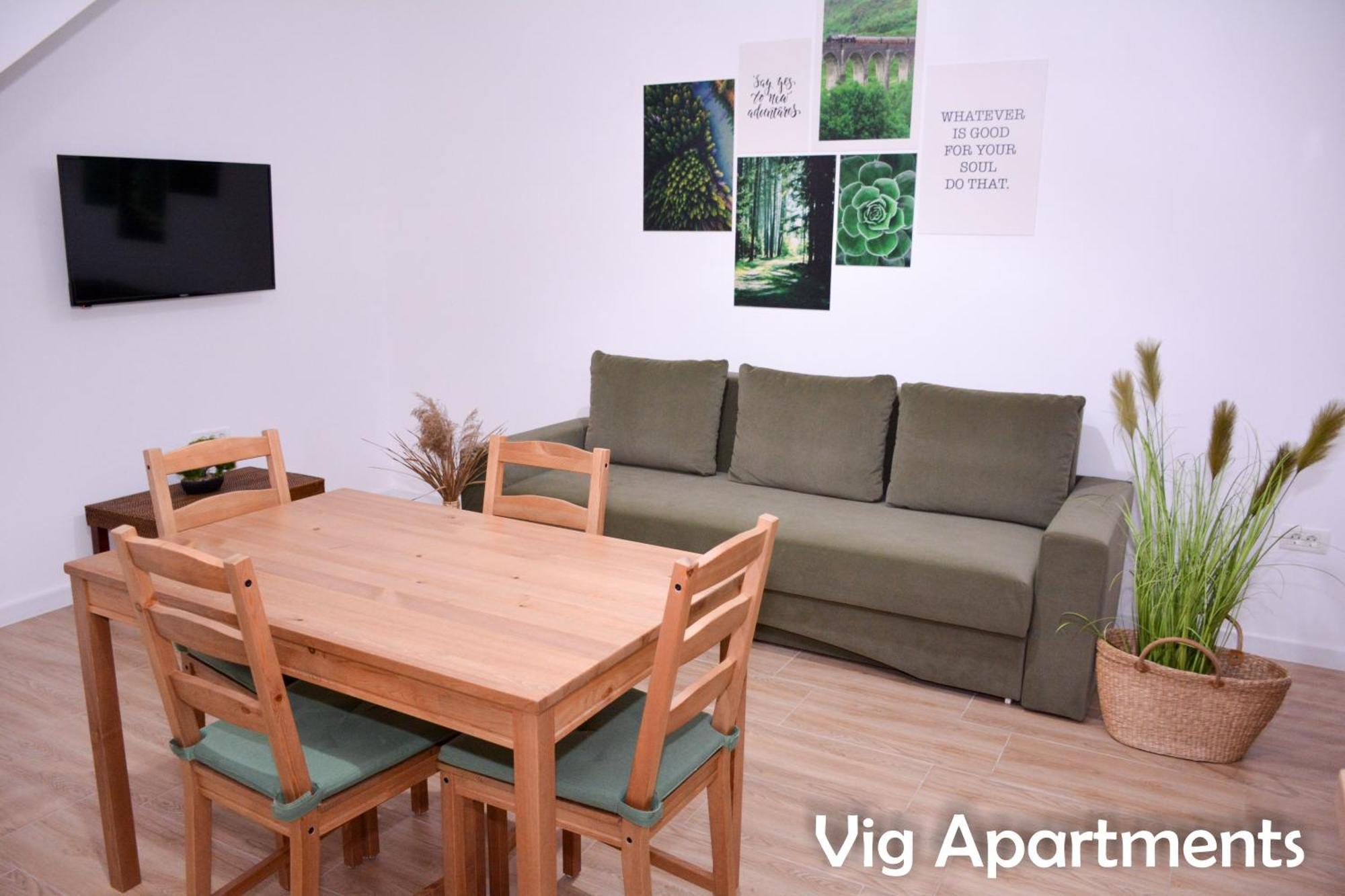 Vig Apartments 티미쇼아라 외부 사진