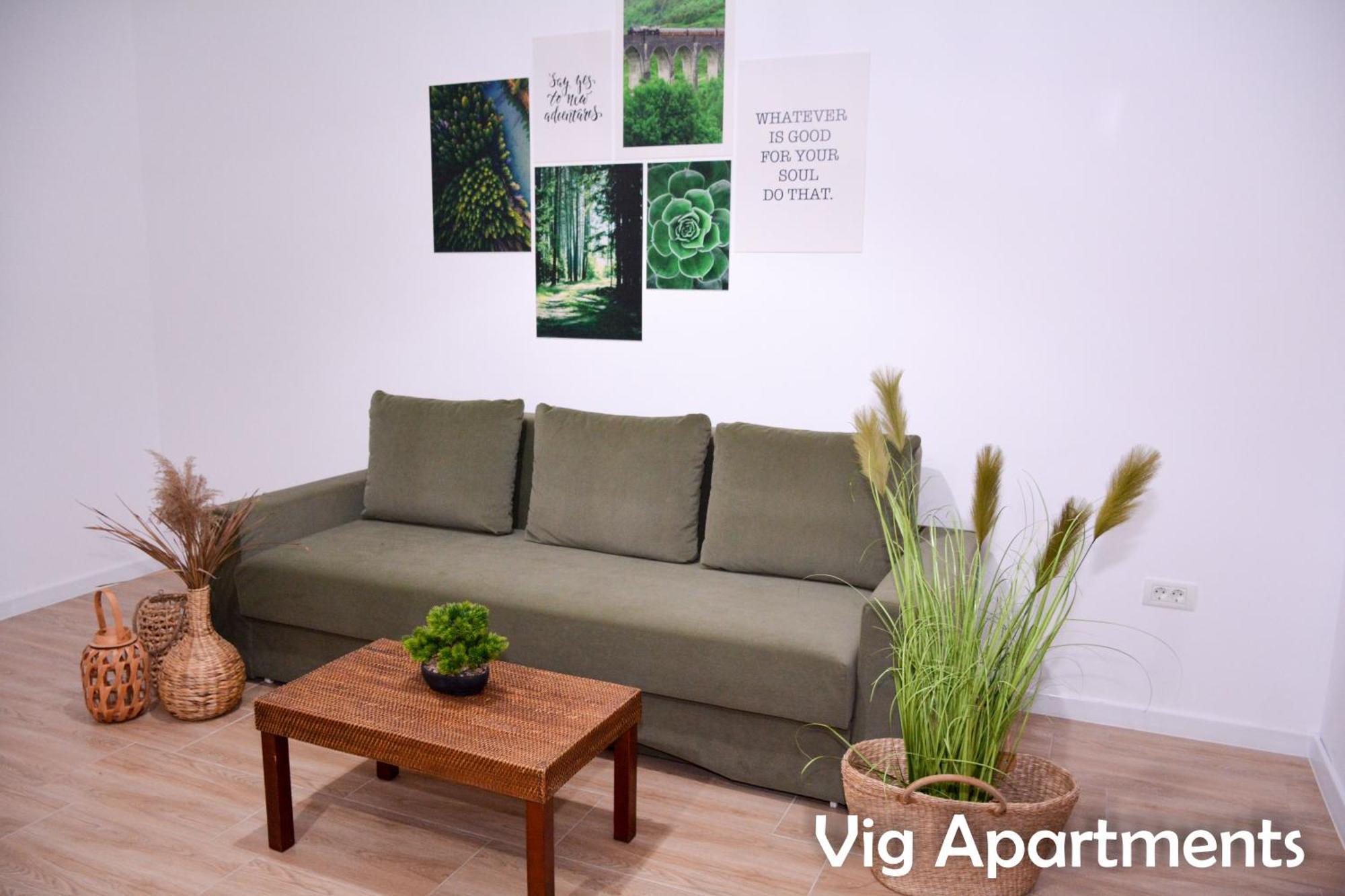 Vig Apartments 티미쇼아라 외부 사진