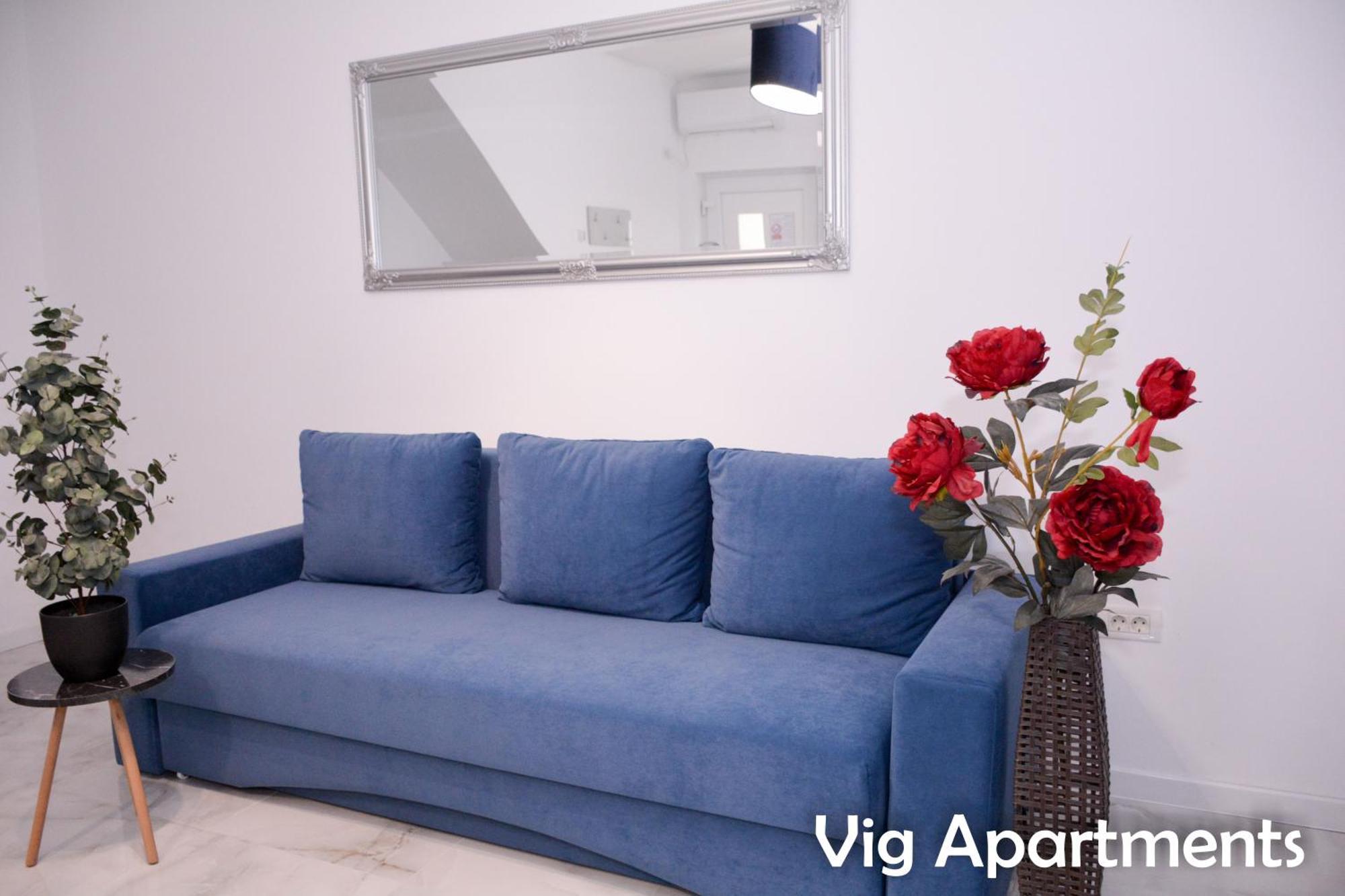 Vig Apartments 티미쇼아라 외부 사진