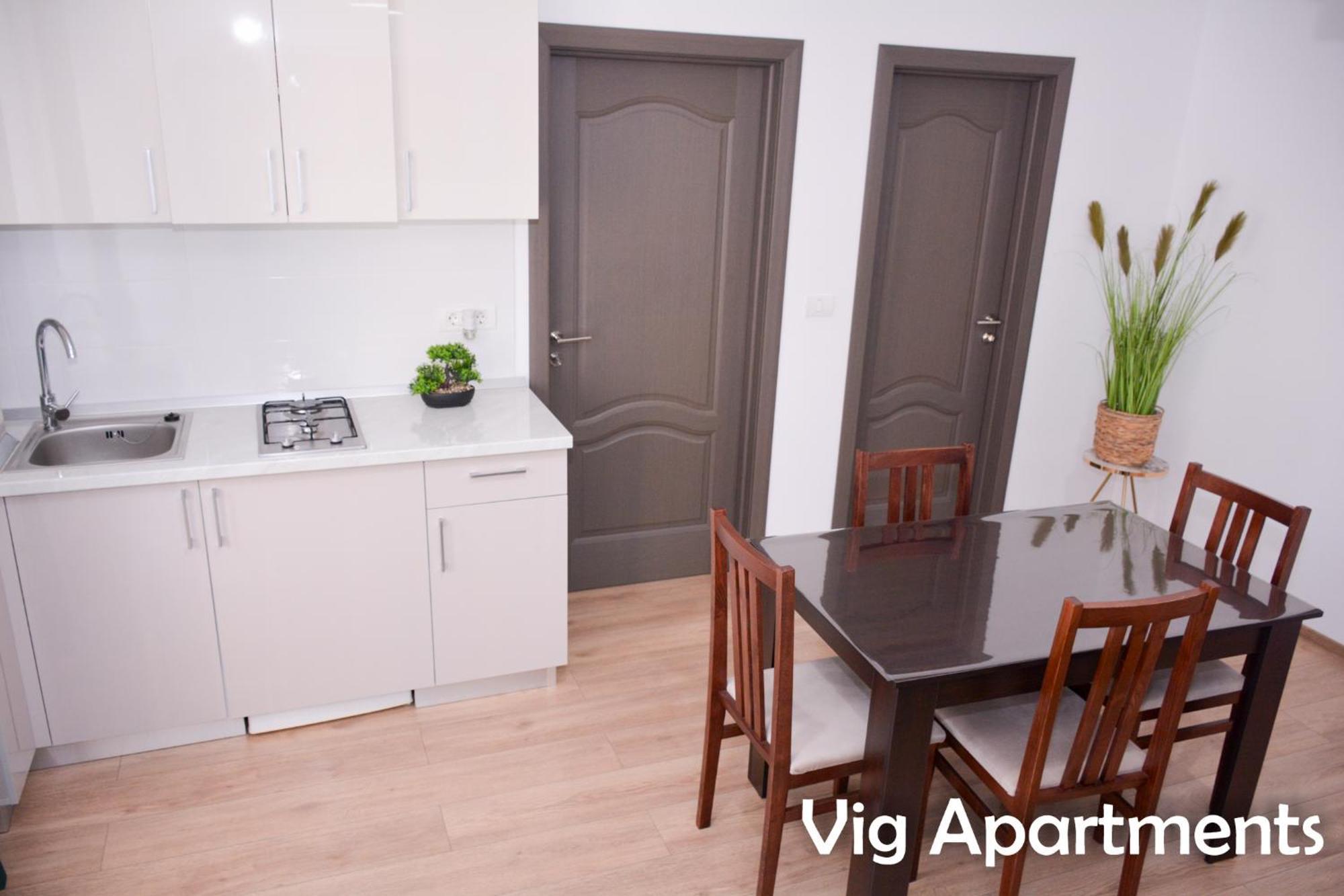 Vig Apartments 티미쇼아라 외부 사진