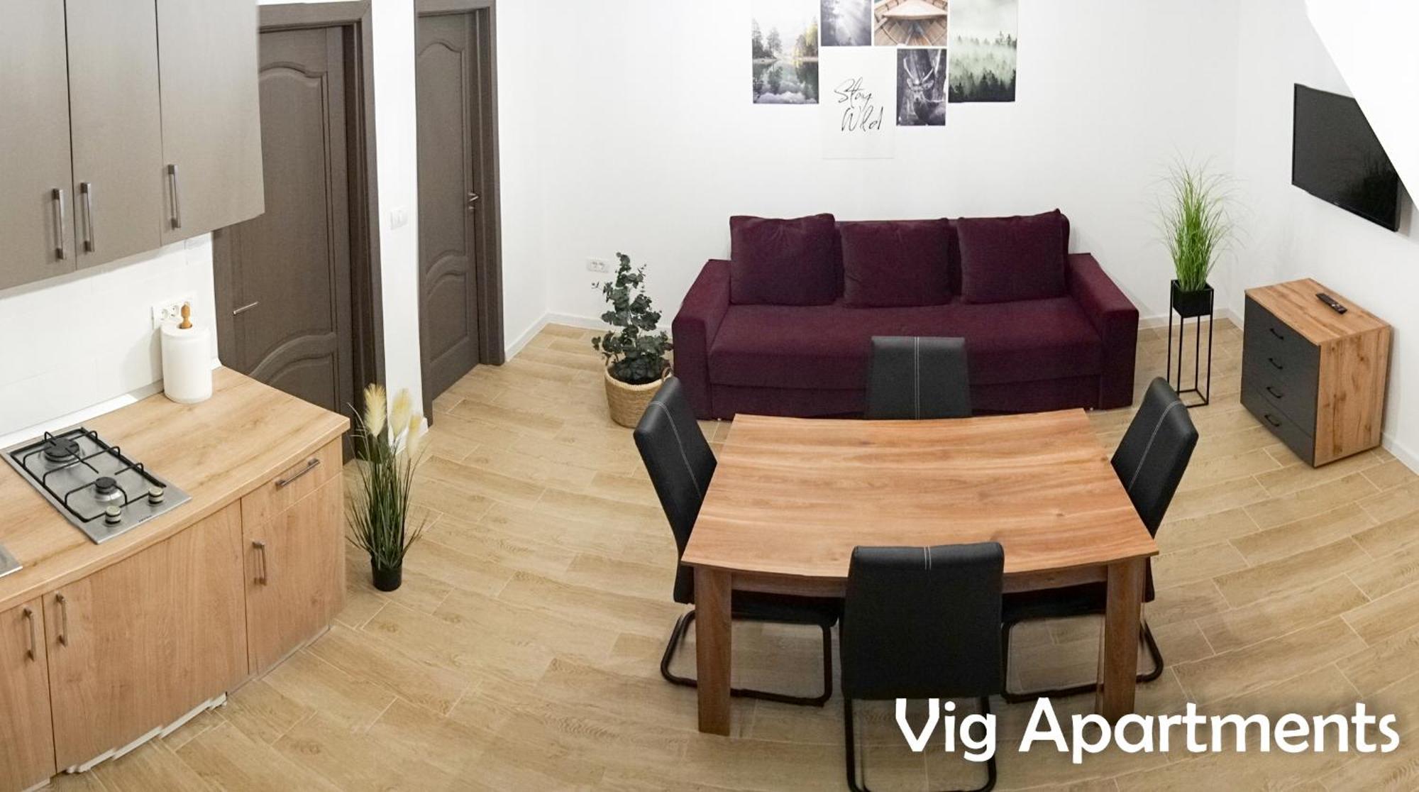 Vig Apartments 티미쇼아라 외부 사진