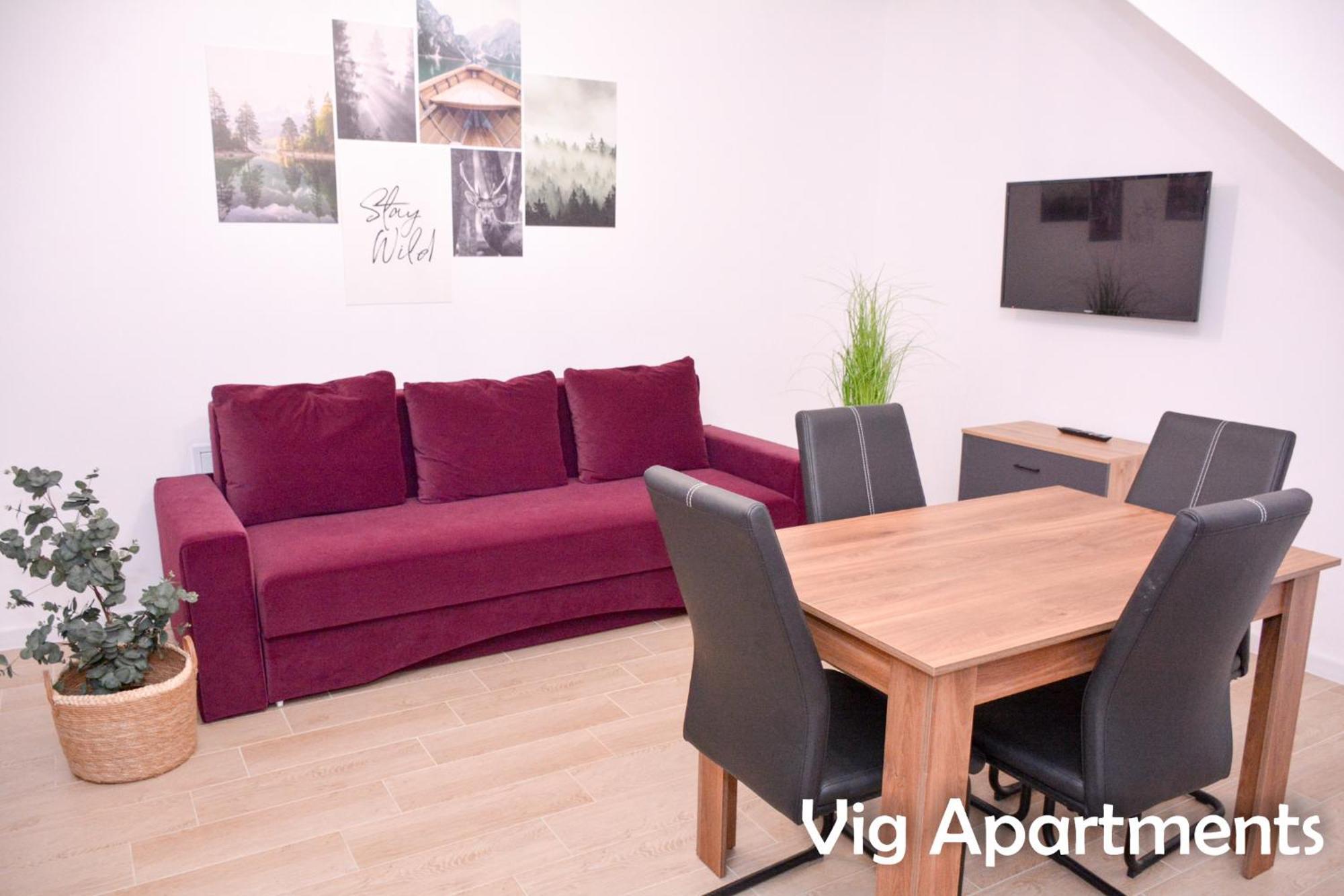 Vig Apartments 티미쇼아라 외부 사진